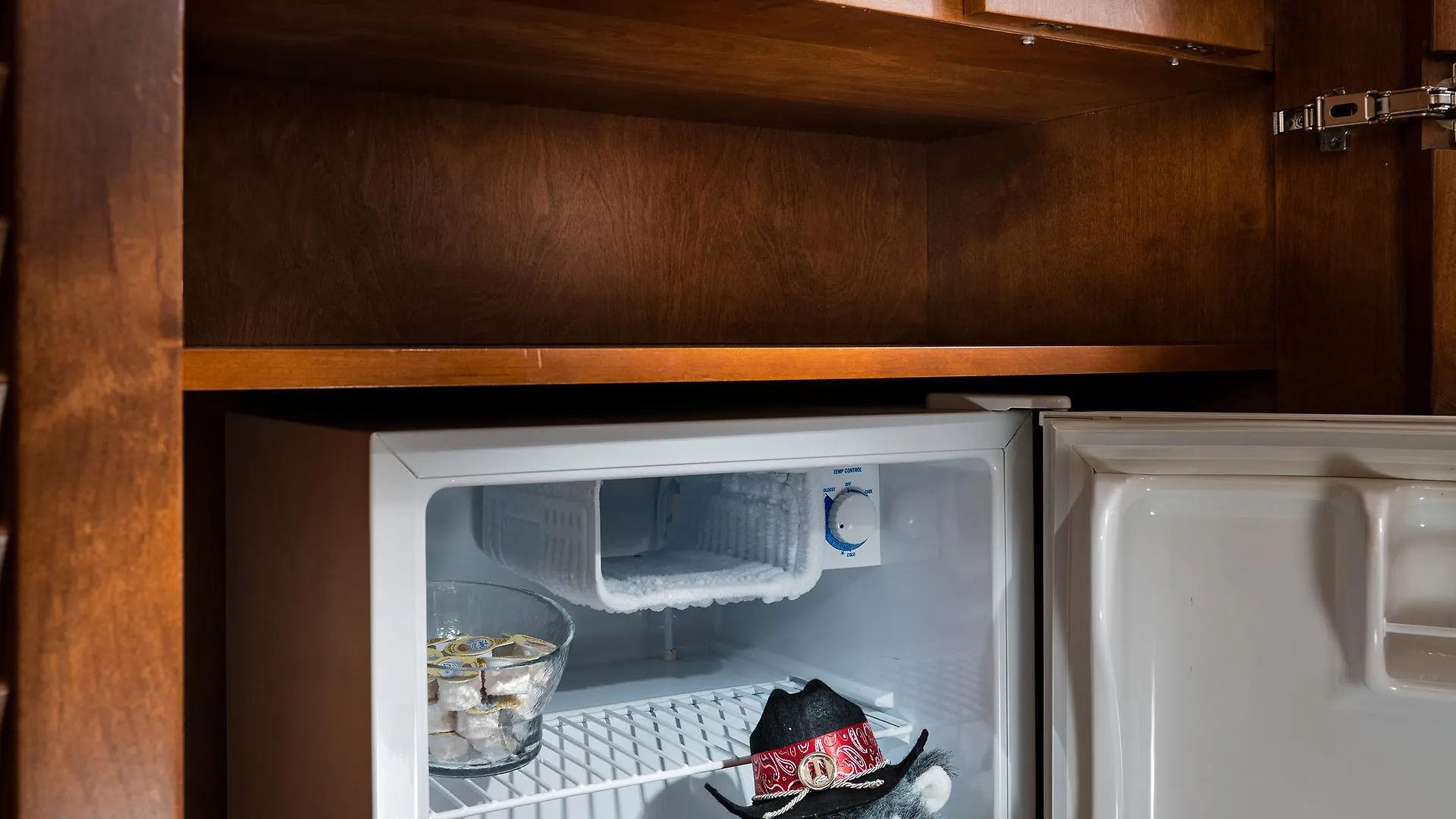 Hotel Staypineapple, Watertown Hotel, University District Seattle