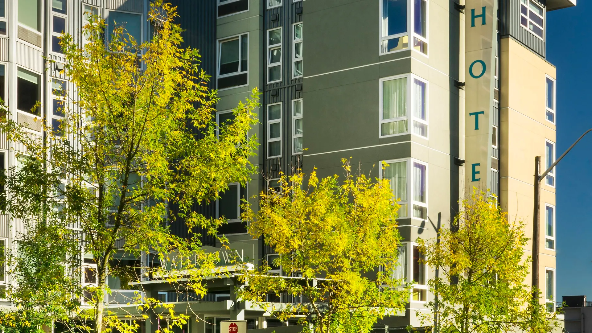 Staypineapple, Watertown Hotel, University District Seattle